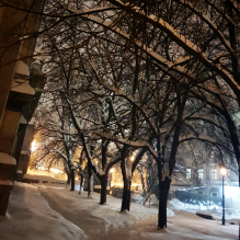 lviv nightlights by in lviv tours
